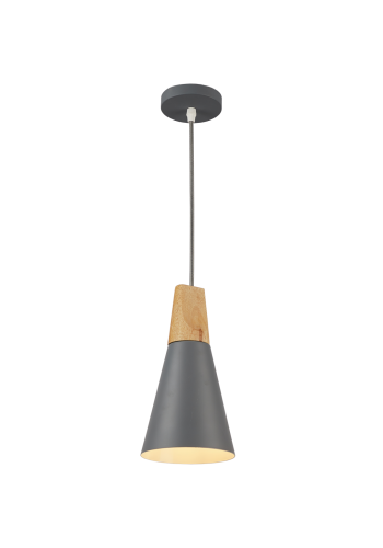 Світильник HOPFEN LOFT NT 1 GR (E27, max 40W)
