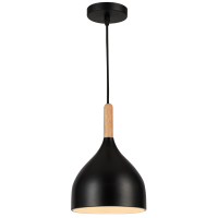 Світильник HOPFEN LOFT TN 1 PD BK (E27, max 40W)
