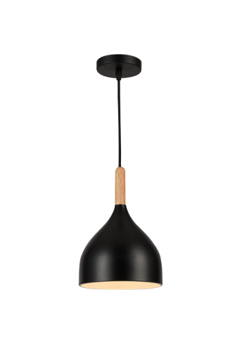 Світильник HOPFEN LOFT TN 1 PD BK (E27, max 40W)