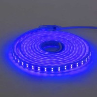 Світлодіодна стрічка COLORADO синя 220-240V IP65 HOROZ ELECTRIC 
081-006-0001-060