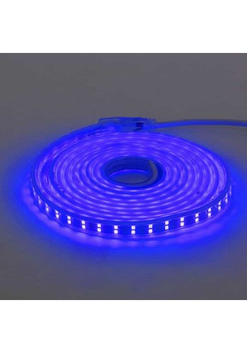 Світлодіодна стрічка COLORADO синя 220-240V IP65 HOROZ ELECTRIC 081-006-0001-060