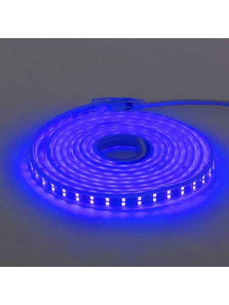 Світлодіодна стрічка COLORADO синя 220-240V IP65 HOROZ ELECTRIC 
081-006-0001-060