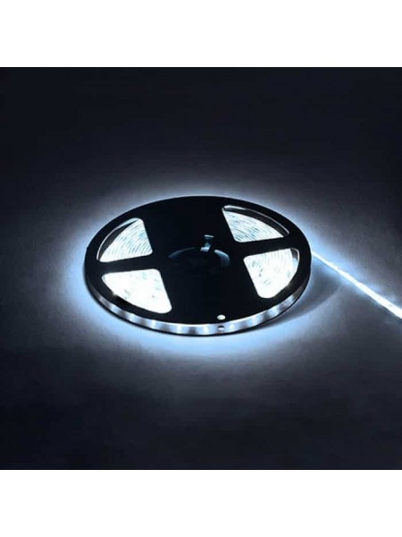 Світлодіодна стрічка NIL 6400K 12V DC HOROZ ELECTRIC 
081-002-0001-021