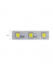 Світлодіодна стрічка REN 3000K 12V DC IP65 HOROZ ELECTRIC 081-001-0001-071