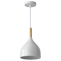 Світильник HOPFEN LOFT TN 1 PD WH (E27, max 40W)