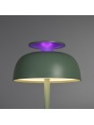LED лампа настiльна з акумулятором VIDEX VL-TF24G 8W 4000K+RGB Green VL-TF24G - 400233