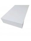 Світильник настінний Violux TRAFFIC 20W 4200K 1600Lm IP65 600mm білий ( 551016 )