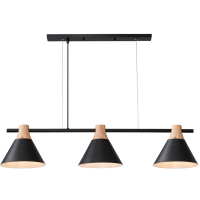 Світильник HOPFEN LOFT CN 3 BK (E27, max 3 x 40W)