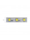 Світлодіодна стрічка NIL 3000K 12V DC HOROZ ELECTRIC 081-002-0001-071