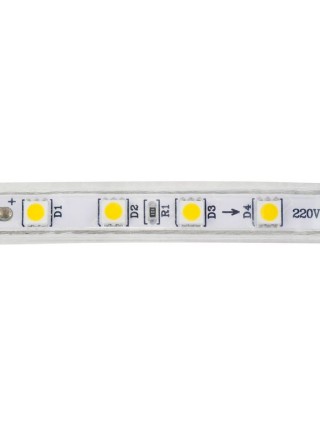 Світлодіодна стрічка VOLGA 220-240V 6400К IP65 HOROZ ELECTRIC 
081-004-0001-010