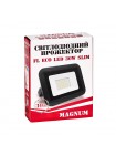 Прожектор світлодіодний MAGNUM FL ECO LED 30Вт slim 6500К IP65