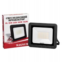 Прожектор світлодіодний MAGNUM FL ECO LED 100Вт slim 6500К IP65 