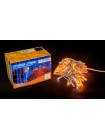 Гірлянда зовнішня DELUX STRING 100 LED 10m (2x5m) flash жовтий/прозорий IP44 EN