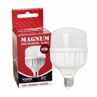 Лампа світлодіодна MAGNUM BL80 30Вт 6500K E27