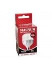 лампа світлодіодна MAGNUM BL80 30Вт 6500K E27
