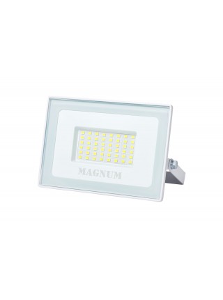 Прожектор світлодіодний MAGNUM FL12 ECO LED 50Вт slim біл. 6500К IP65