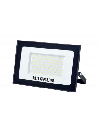Прожектор світлодіодний MAGNUM FL12 ECO LED 100Вт slim чорн. 6500К IP65