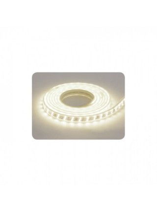 Лента светодиодная  LED COLORADO (220-240V) влагозащищенная зеленая цена указана за 1м