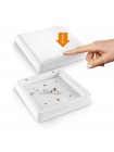 LED Світильник квадратний накладний TITANUM 24W 5000K TL-BHS20-245 - 482646