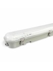 LED світильник IP65 лінійний під лампу 2хТ8 VIDEX 0,6М 220V VL-BNW-T8062G - 484824