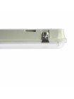 LED світильник IP65 лінійний під лампу 2хТ8 VIDEX 0,6М 220V VL-BNW-T8062G - 484824