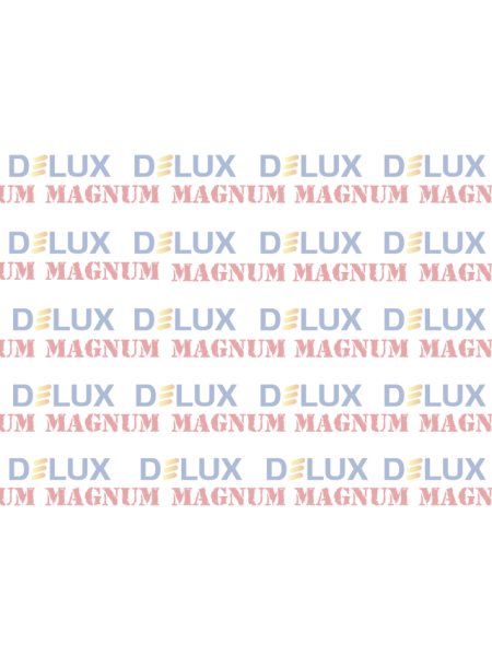 Акс.світл. дріт DELUX 2-полюсн. акс. вилка+кабель
