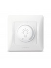 Димер LED 200Вт білий VIDEX BINERA VF-BNDML200-W - 480291