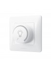 Димер LED 200Вт білий VIDEX BINERA VF-BNDML200-W - 480291