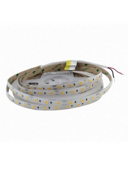 Світлодіодна стрічка RISHANG 12V 12W 2700K 60led IP65 ( RD6060AA )