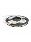 Світлодіодна стрічка RISHANG 12V 12W 6500K 60led IP20 ( RN0060TA-A 6500K )