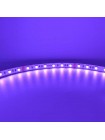 Світлодіодна стрічка RISHANG 24V 13W RGB 60led IP20 ( RN0060AP )