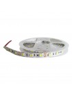 Світлодіодна стрічка LED LIGHT 12V 14.4W 6000K 60LED IP21 ( MTK-300W5050-12 )