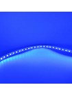 Світлодіодна стрічка LED LIGHT 12V 9.6W синя 120LED IP20 ( MTK-600B3528-12 )