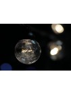 Уличная светодиодная ретро-гирлянда лампочки Lumion Galaxy Bulb String 10м 50 ламп наружная цвет белый теплый