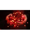 Гірлянда вулична LUMION бахрома 120LED 230V 2x0,9m колір червоний / чорний IP44 EN