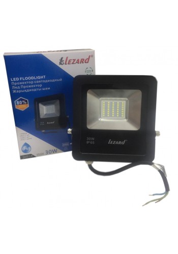 Лед Прожектор 30Вт, Алюминиевый корпус IP65 6500K 2400Lm PAL6530 LEZARD