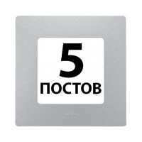 Рамки 5 поста Алюміній 672555 Legrand Etika