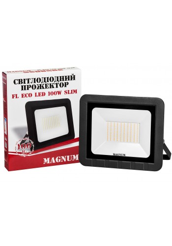 світлодіодний прожектор MAGNUM FL ECO LED 100Вт slim_6500К_IP65 - 90014089
