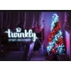 SMART гірлянди TWINKLY